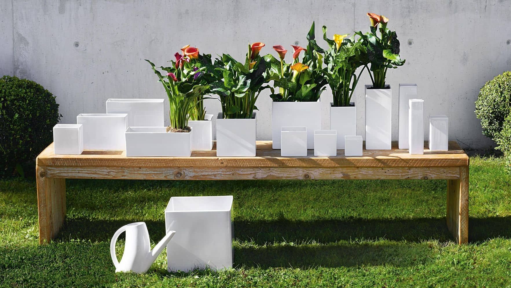 Vase quadro 4615005