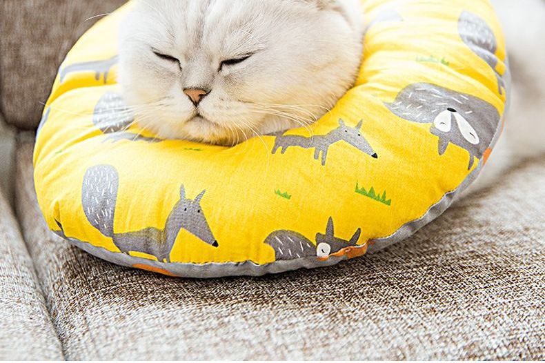 Cissilli - Print Pet Recovery Collar