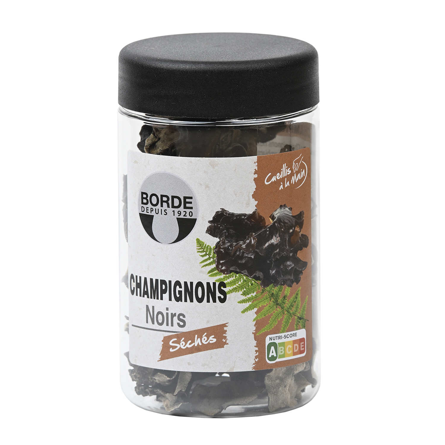 Champignons noirs séchés