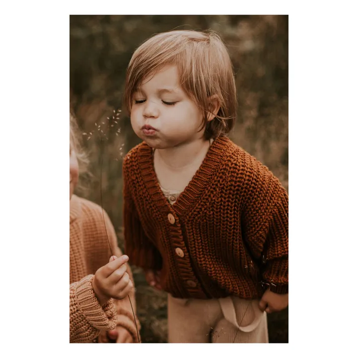 Yuki Cardigan Chunky Coton Bio | Marron