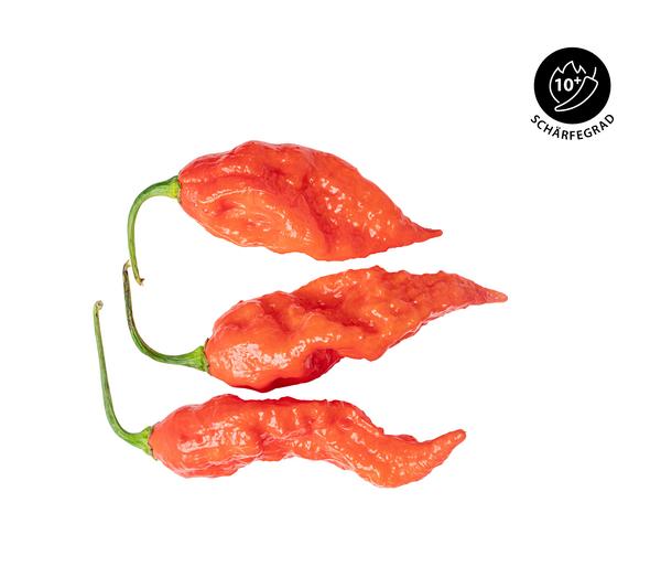 Geisterchili