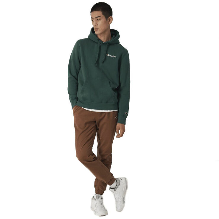 Champion hooded sweatshirt Grey