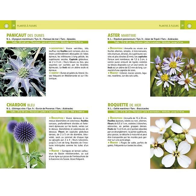 ARTEMIS - RECONNAITRE TOUTES LES ESPECES PROVENCE MEDITERRAN