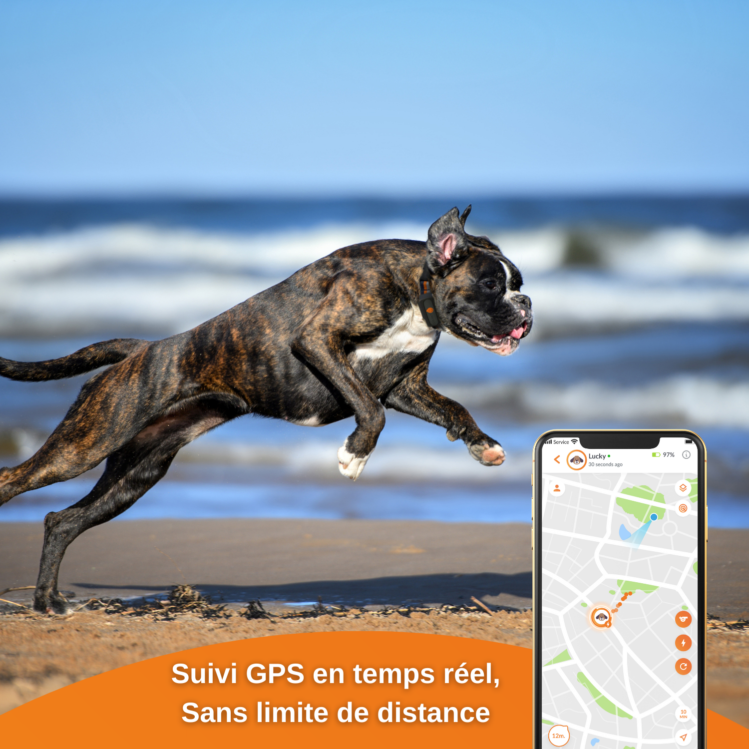 XS - collier gps pour chien ( black edition 2023)