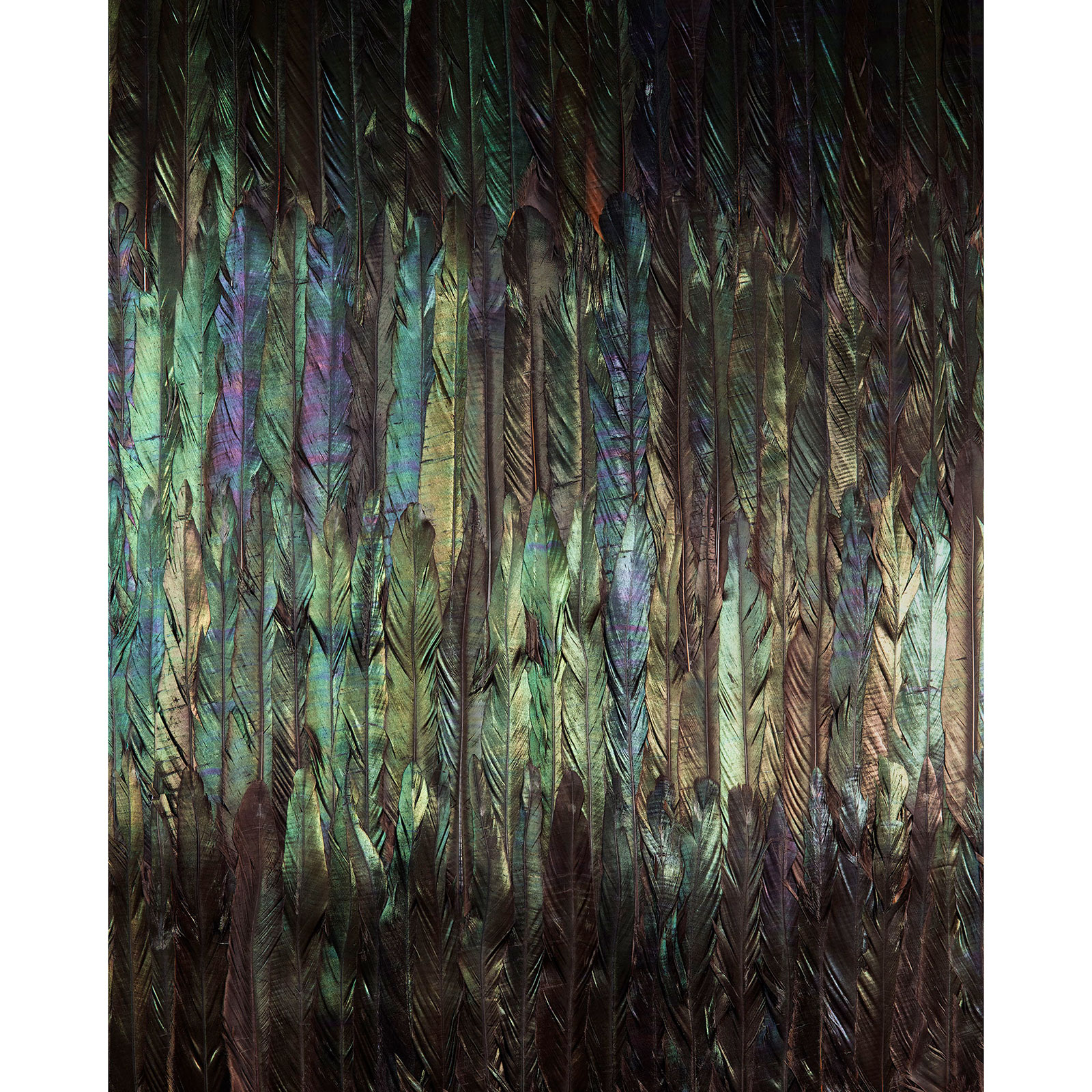 Vlies-Fototapete DARK WINGS - bunt - 200x250 cm