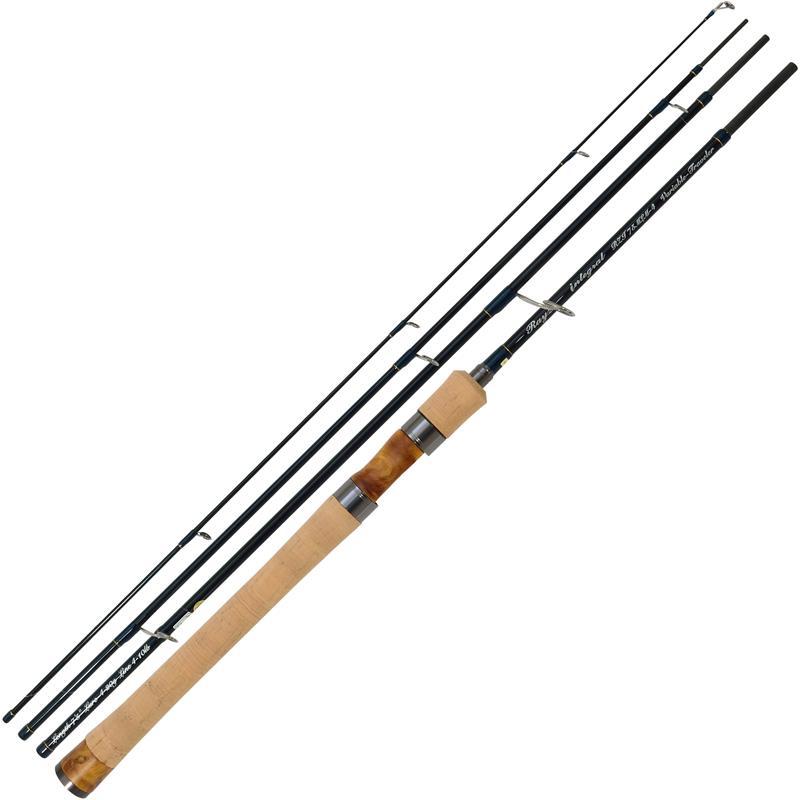 Canne Tenryu Rayz Integral