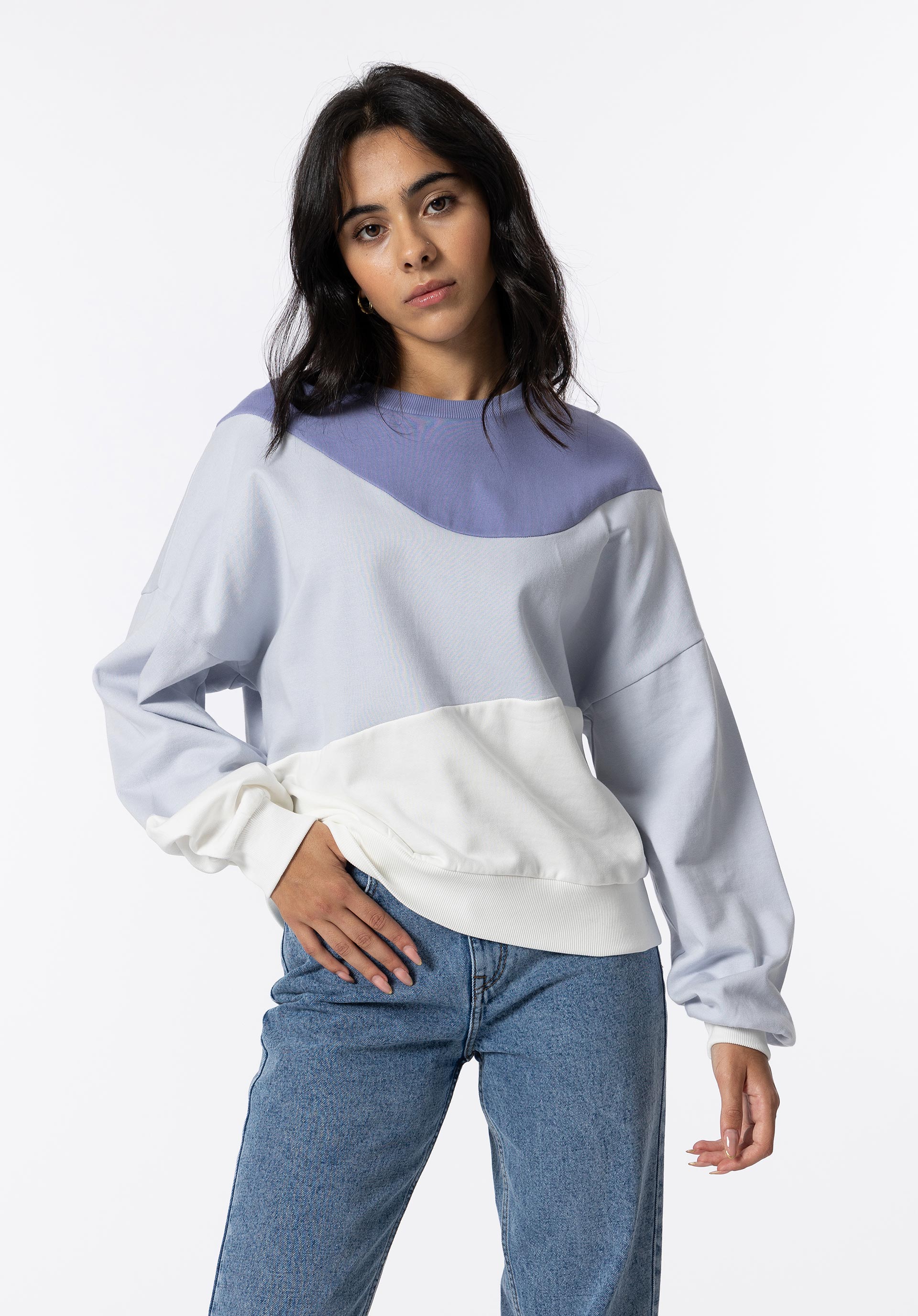 Sweatshirt Tricolor