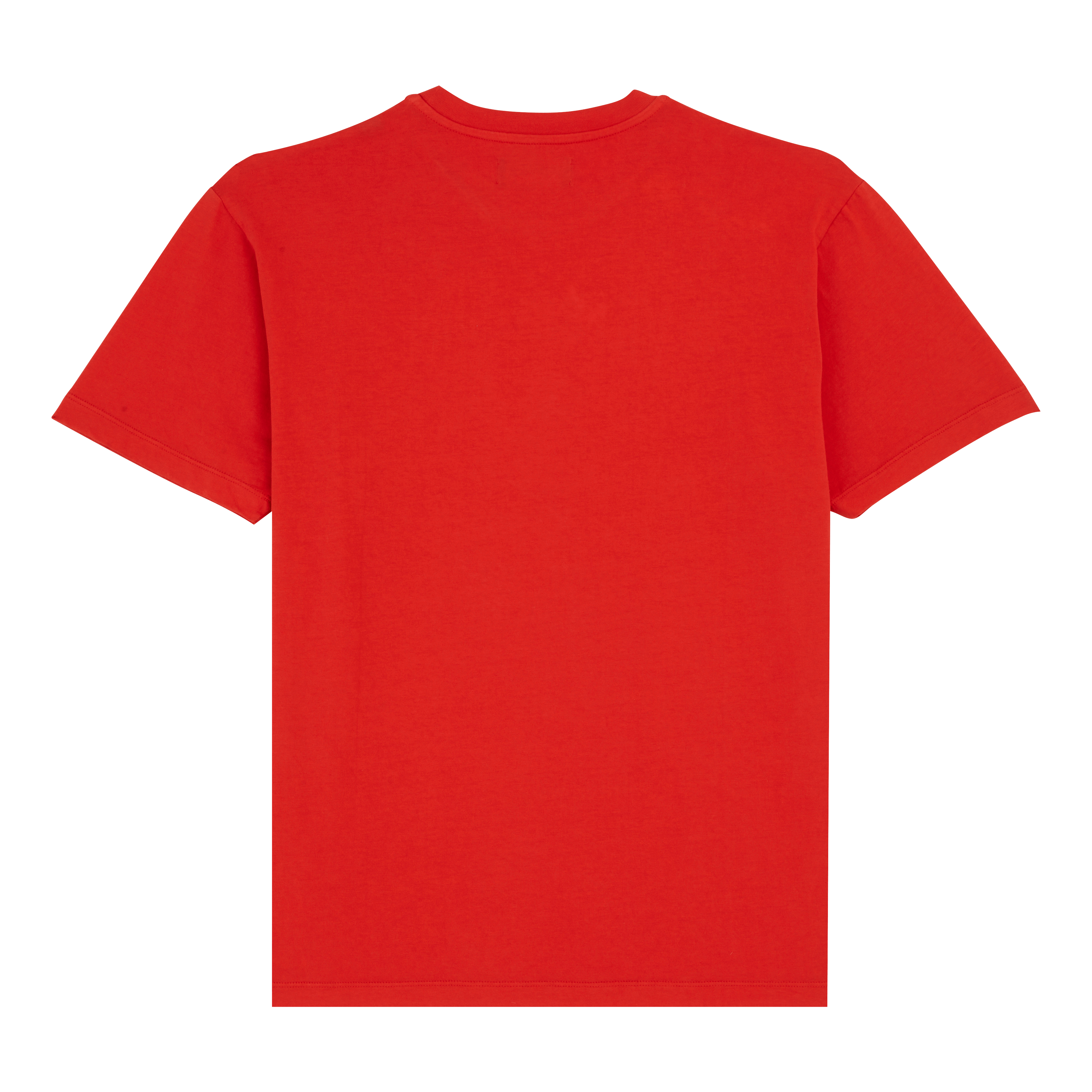 T-Shirt en Coton Imprimé Logo Tortue Homme Imprimé Logo Tortue