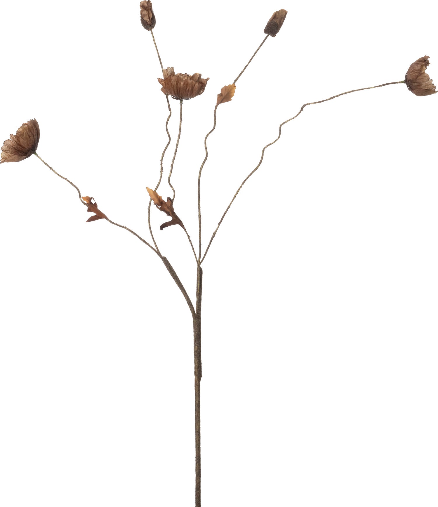 Intratuin kunstbloem Klaproos bruin 104 cm