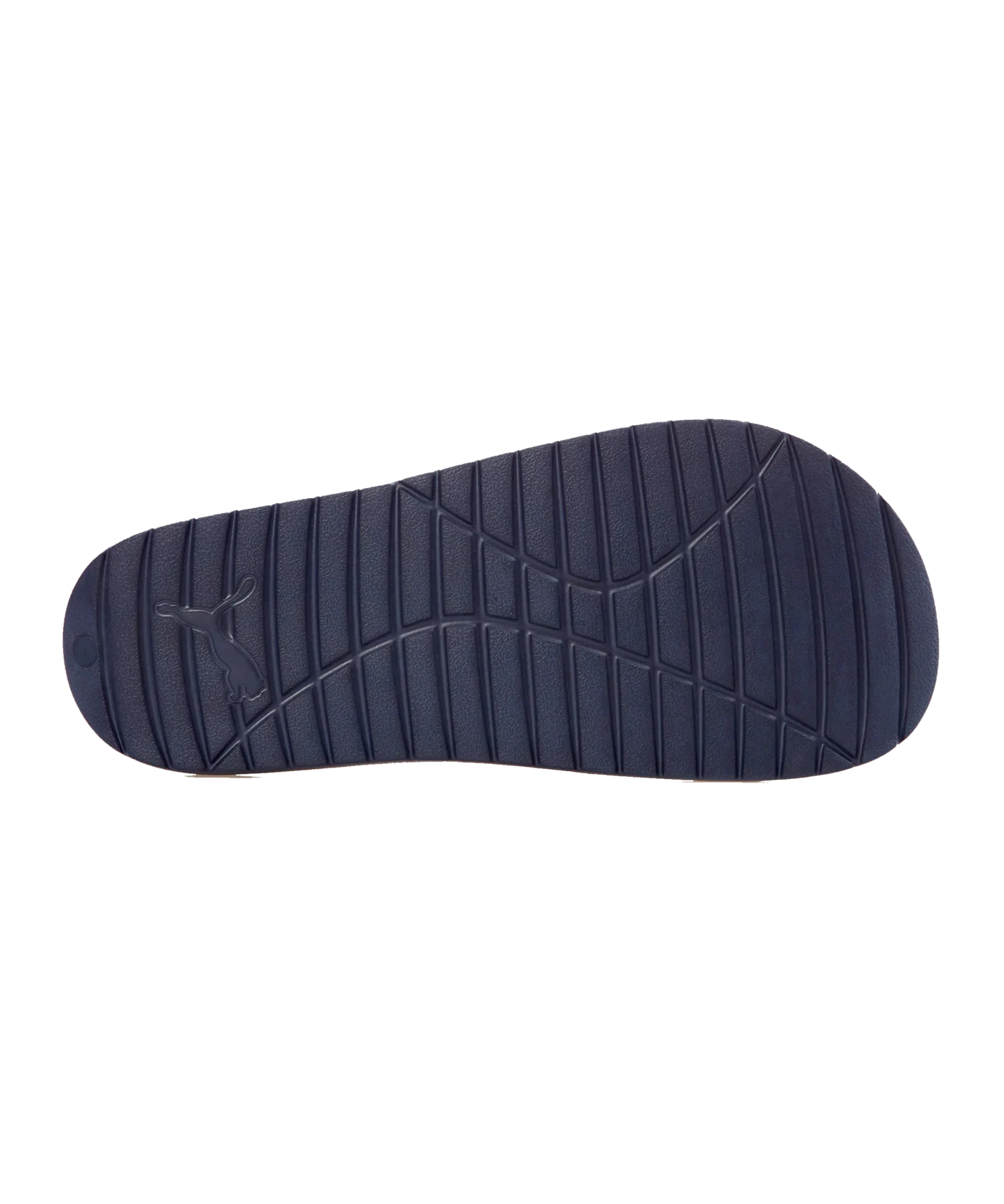 PUMA Divecat v2 Lite Badelatsche Blau Weiss F02