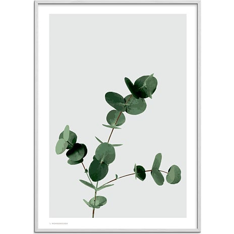 Eucalyptus - 30x40 cm