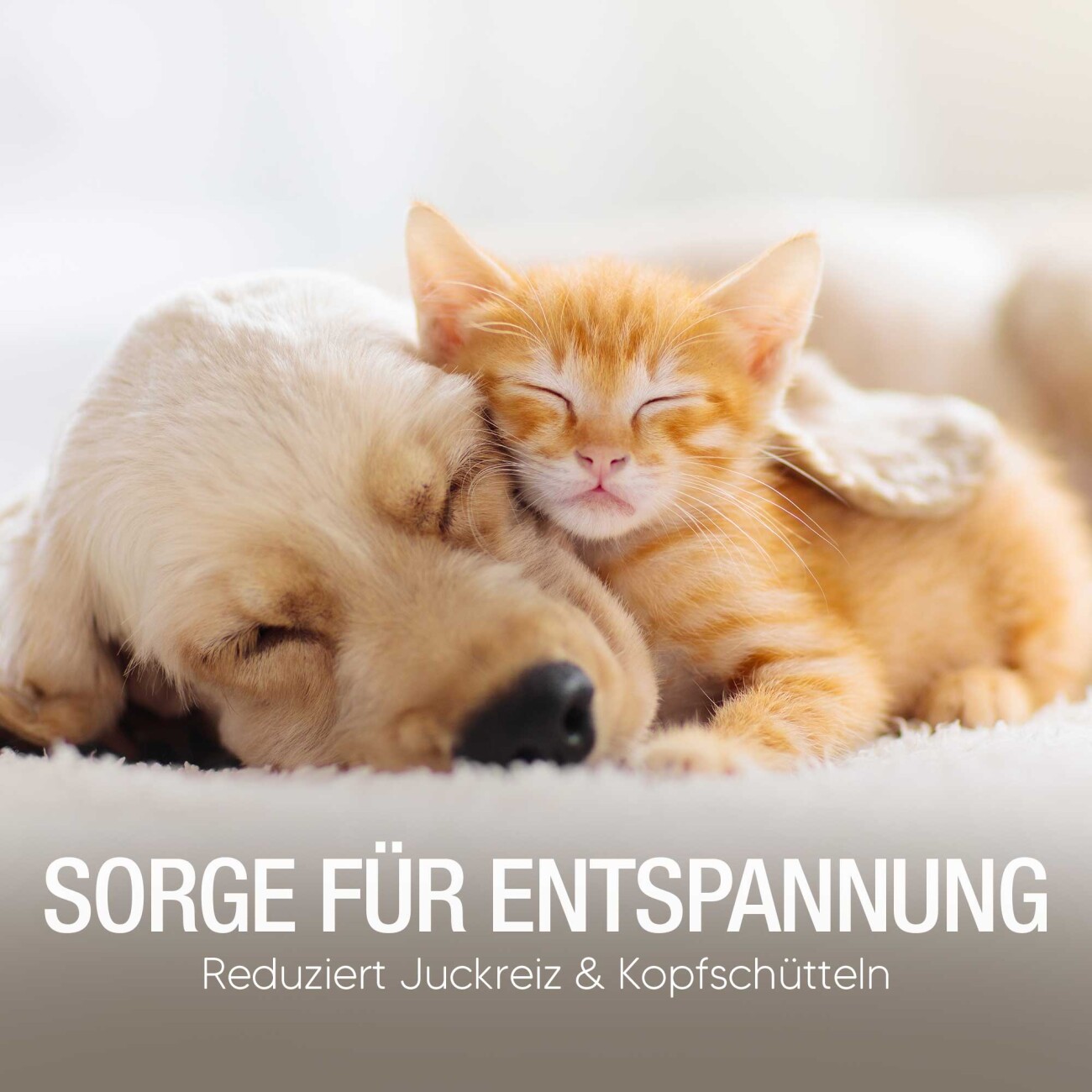 Pawlie's Ohrenreiniger Sensitiv