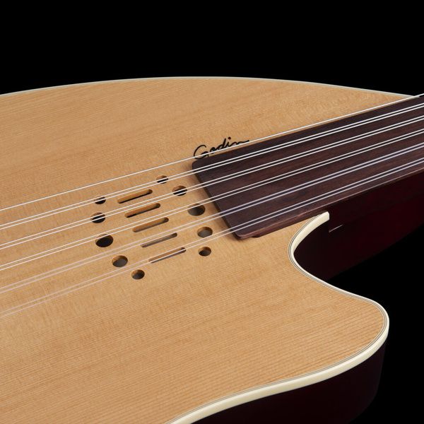 Godin Multi Oud Encore Nylon