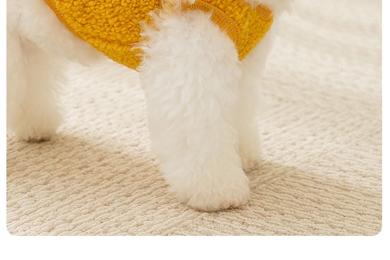 Cissilli - Dinosaurus Chenille Huisdier Top