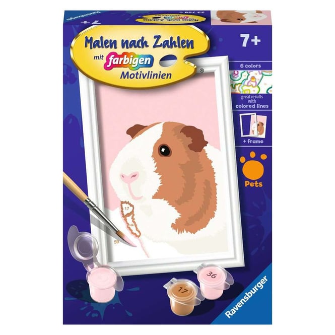 Malen nach Zahlen - Niedliches Meerschweinchen