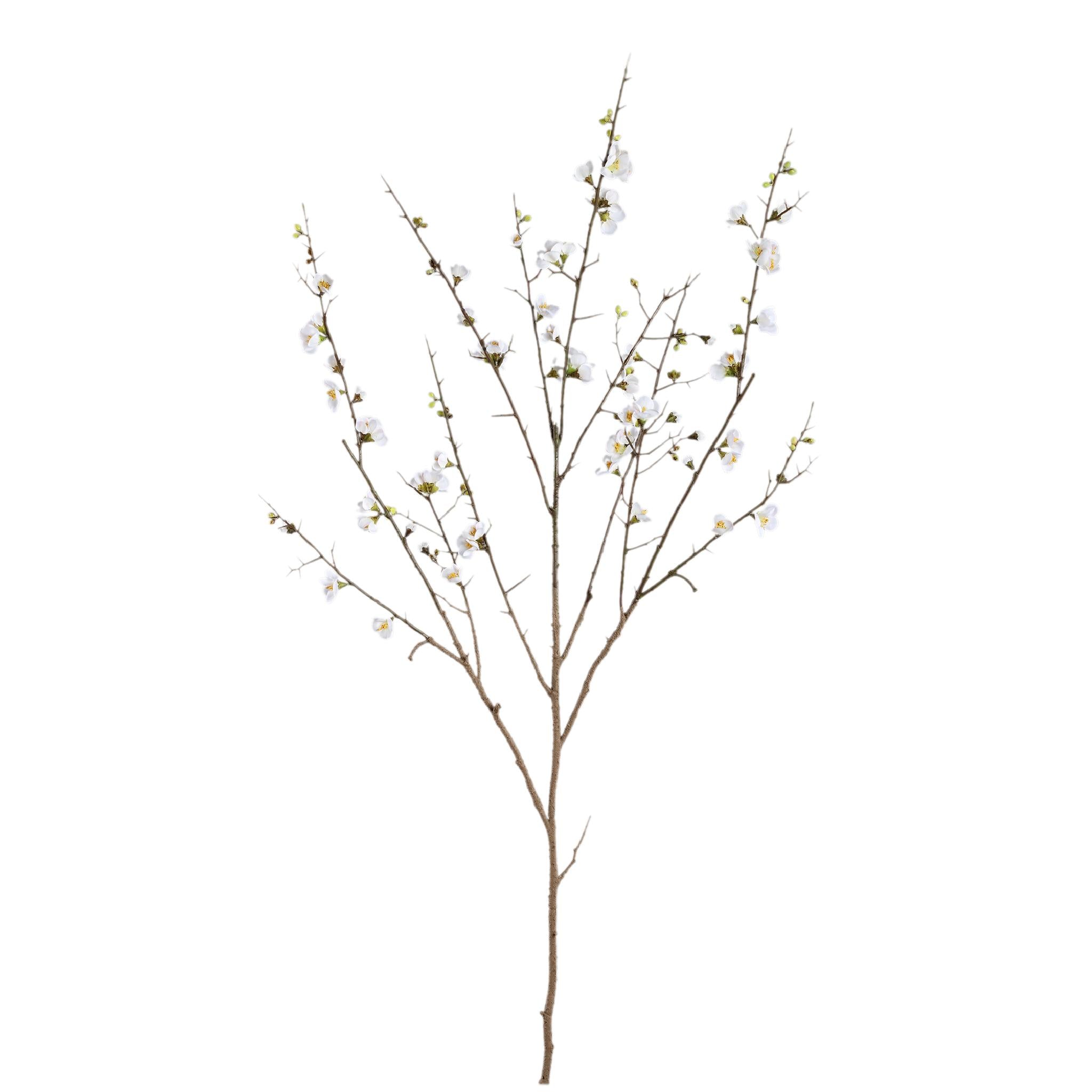 PTMD - Kunstbloem Blossom - Wit - 81.5x79x137cm