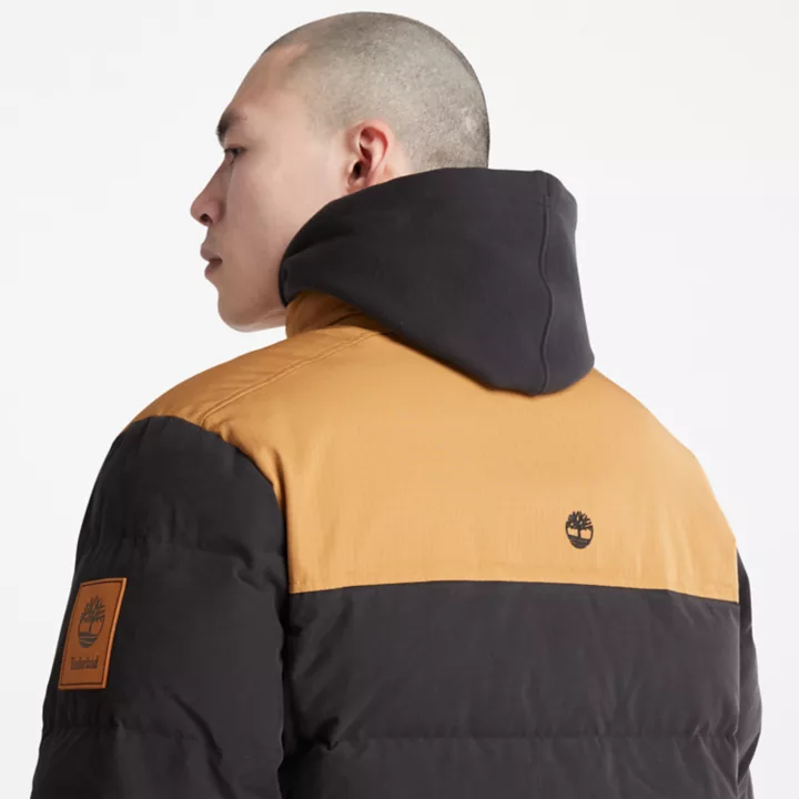 Jaqueta puffer Welch Mountain masculina na cor preta.