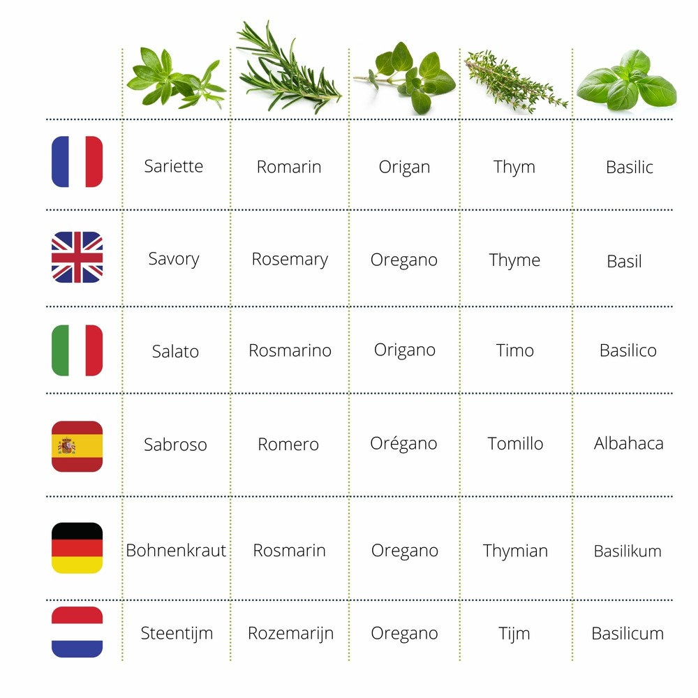 Coffret : je fais pousser mes herbes de provence bio
