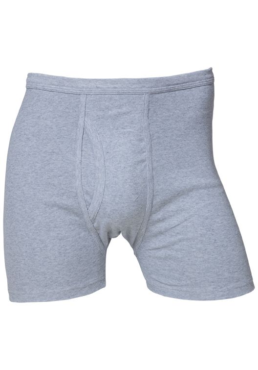 Brenibba boxer