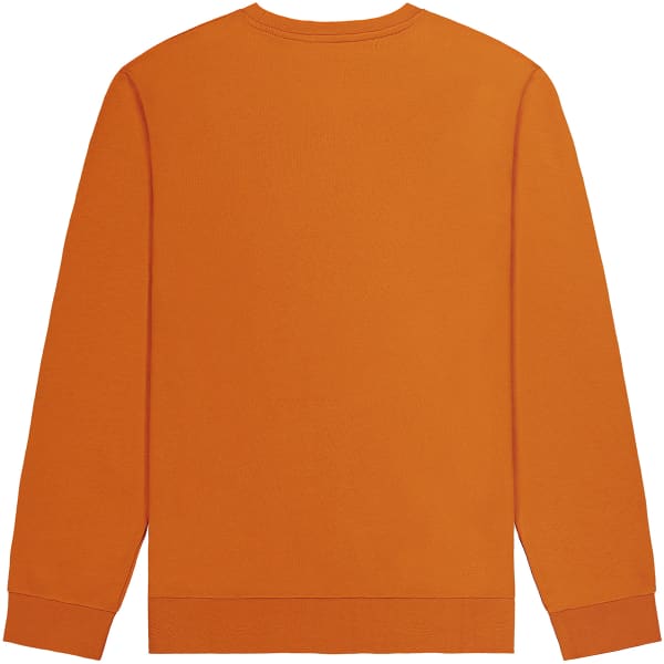 Sweatshirt PICTURE AUTHENTIC CREW SUNSET