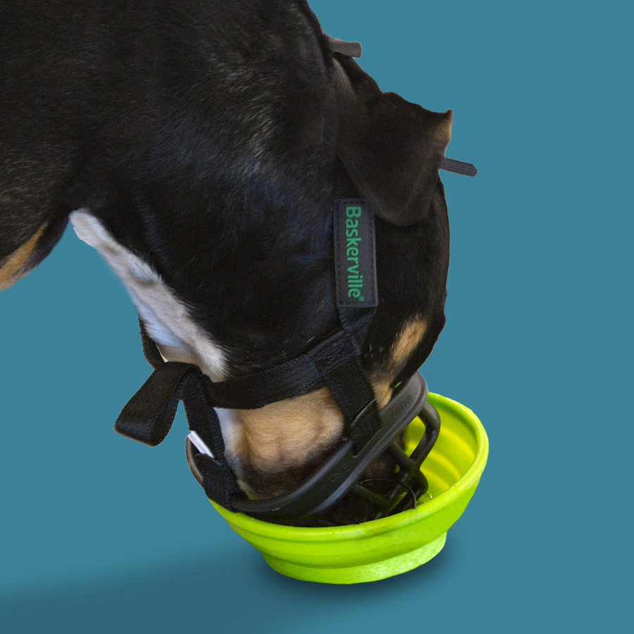 Focinheira Baskerville Ultra com Cesta para Cães