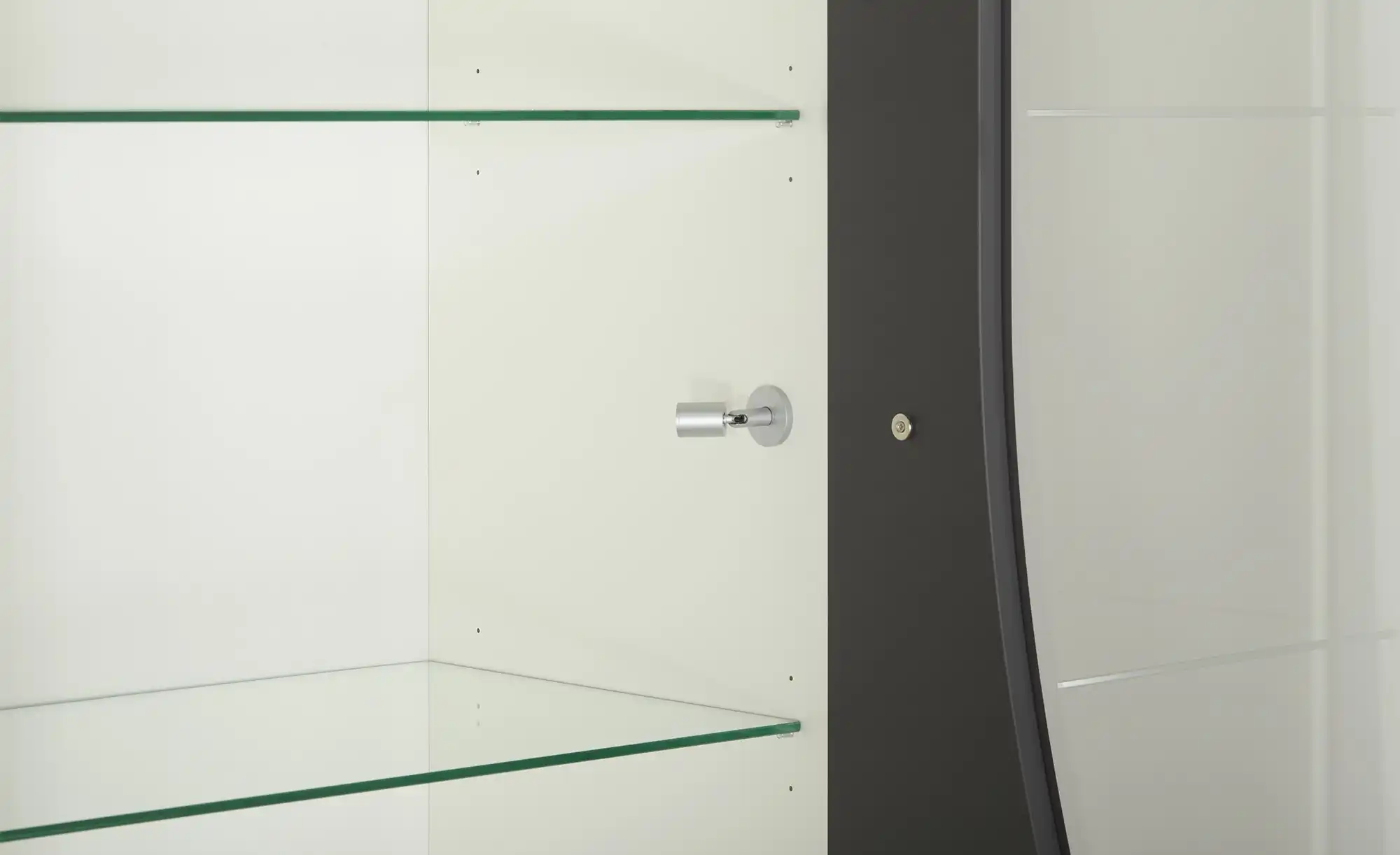 LEONARDO Vitrine Leo Curve 50