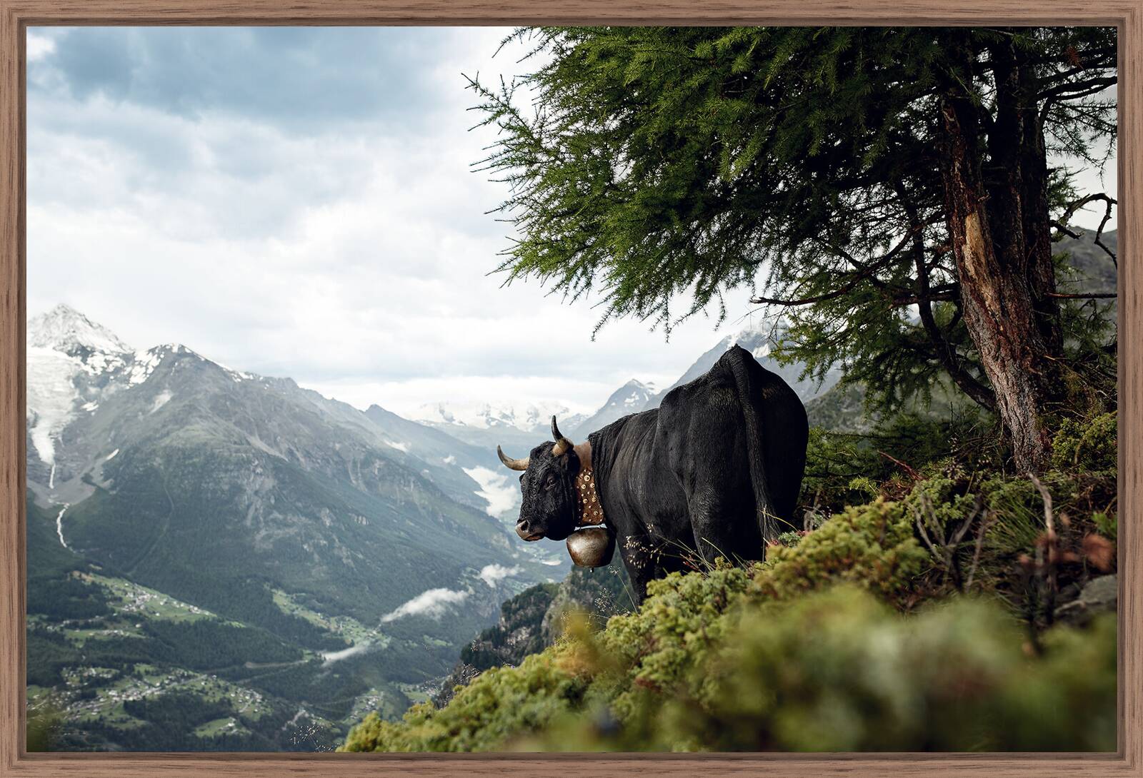 Eringer by Ramona Waldner - Limited Edition. Edition of: 150. Signed.