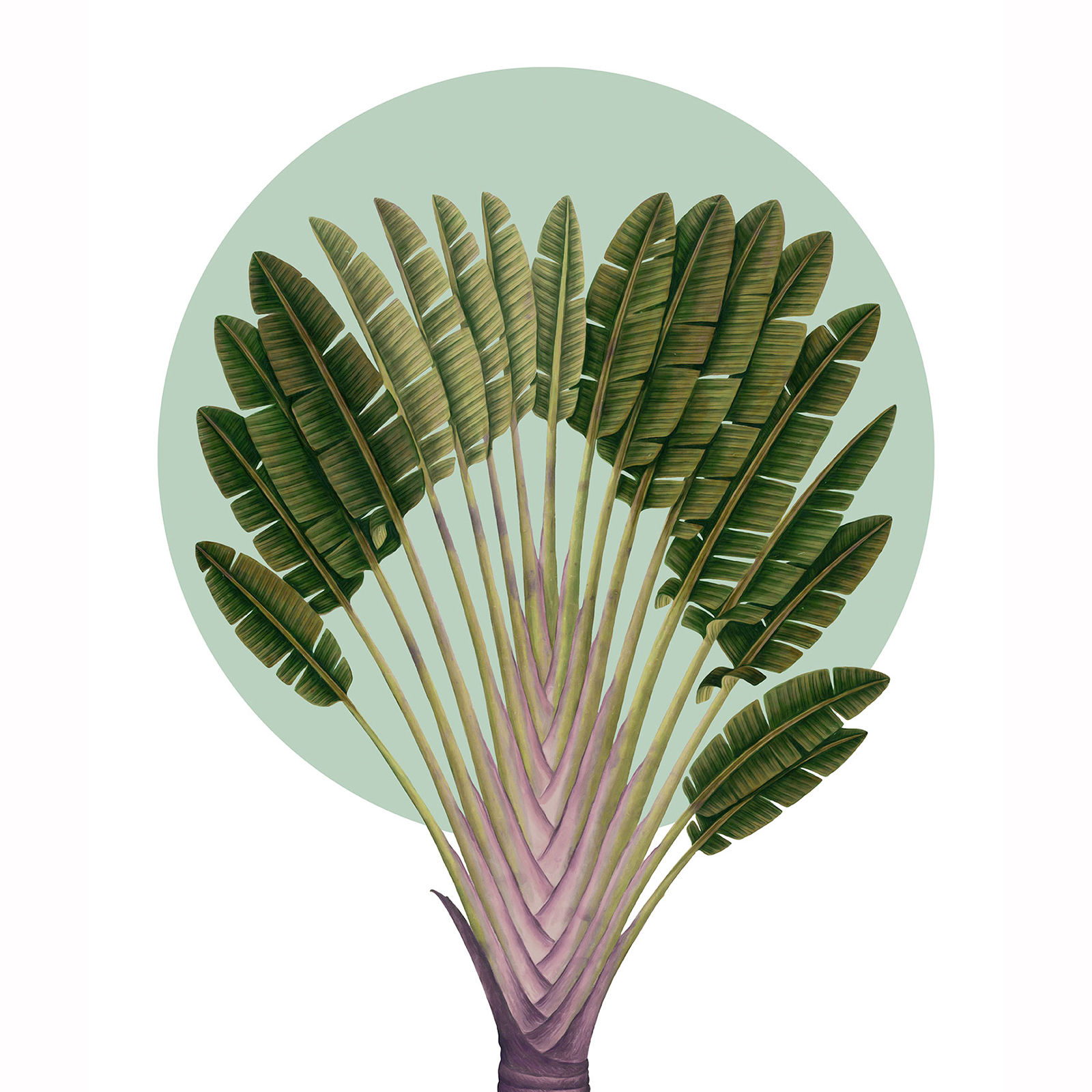 Wandbild BOTANICAL PALM - grün - 50x70 cm