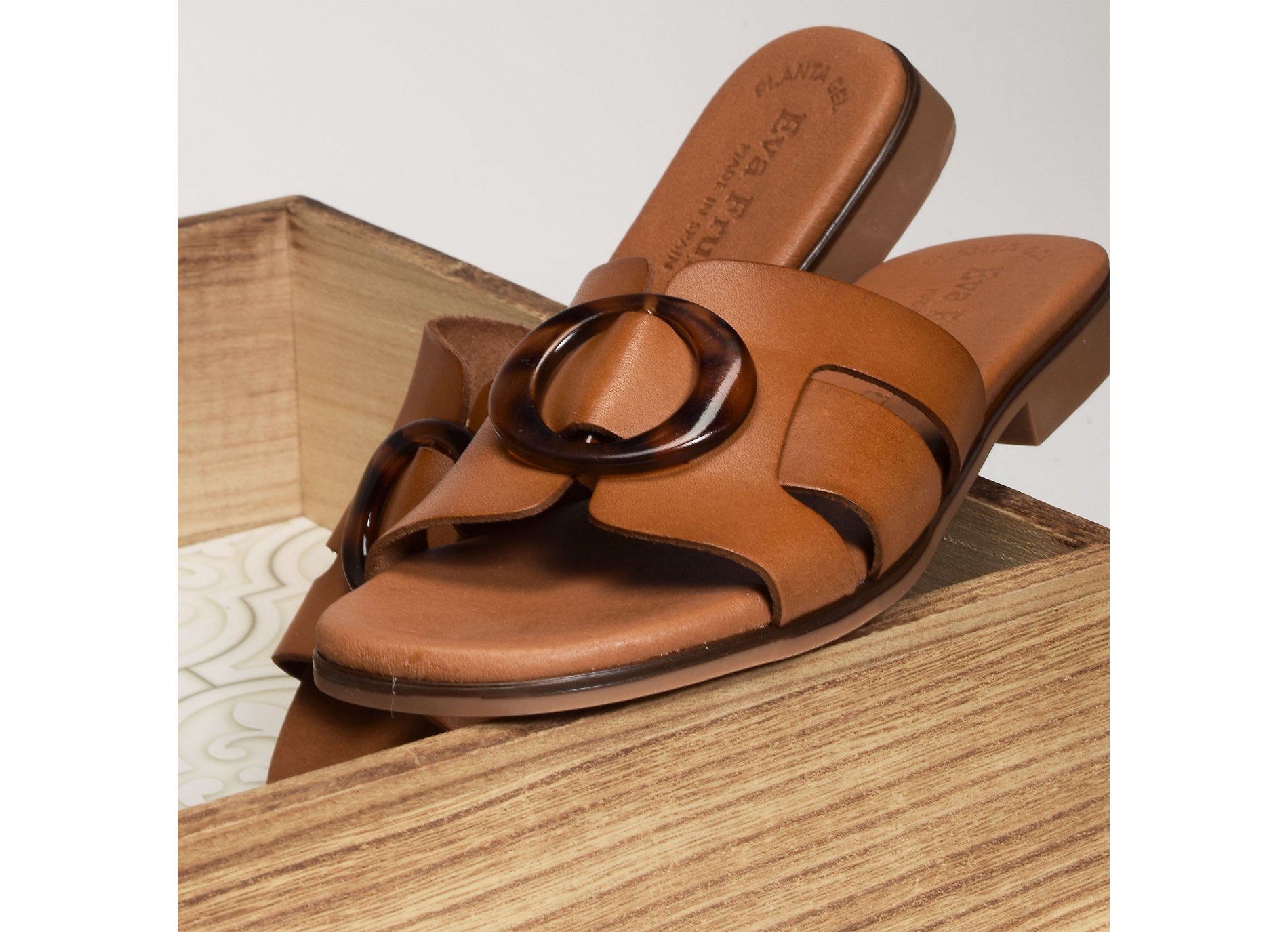 3064 camel