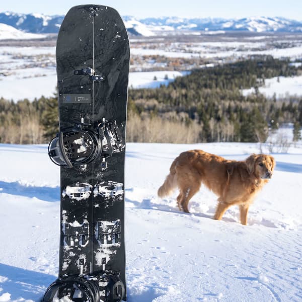 Splitboard BURTON FAMILY TREE HOMETOWN SPLIT BLACK