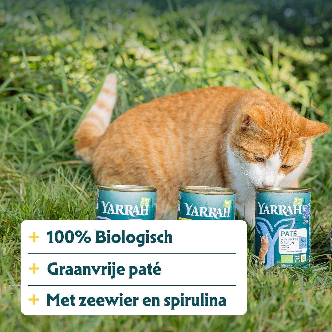 Yarrah - Natvoer Kat Blik Paté met Kip en Vis Bio