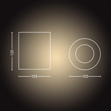 Philips Hue opbouwspot Pillar wit - warm tot koelwit licht 5W - 1 spot met dimmer switch