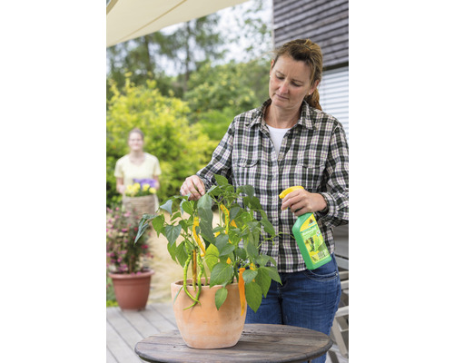 Neudorff Neudosan 500 ml bladluisvrije pompspray