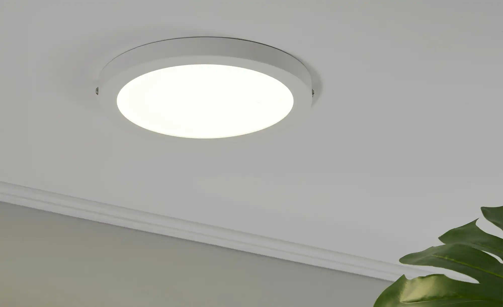LED-Panel, weiß-matt, rund