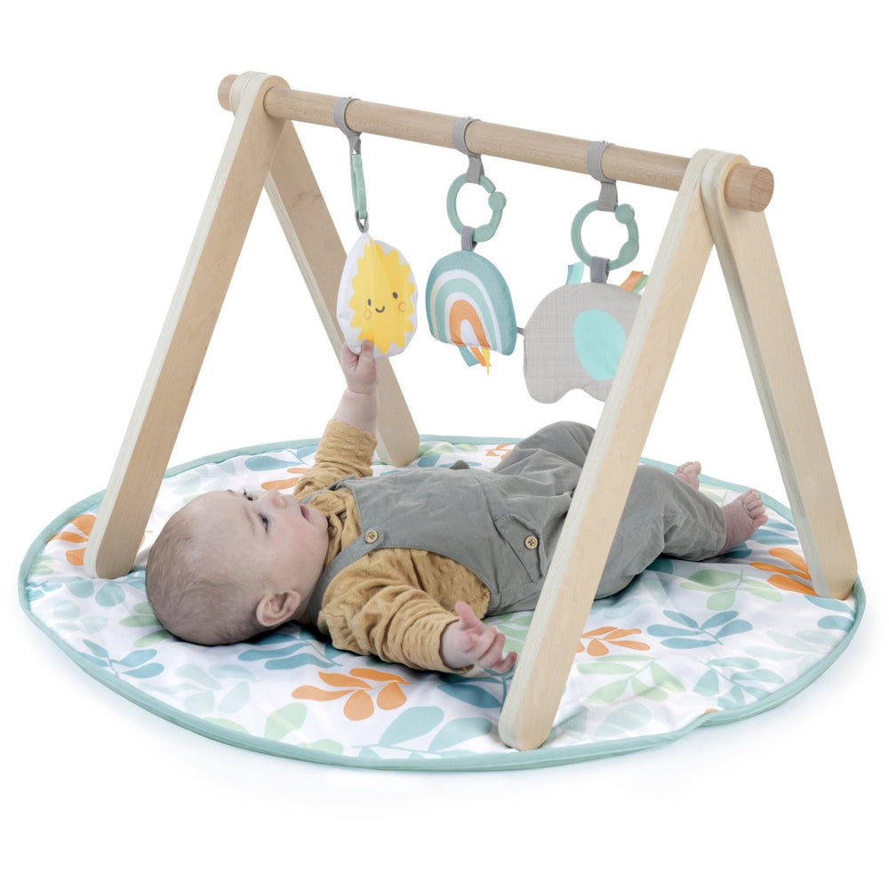 Køb Ingenuity Sun Valley™ Wooden Legetøj Aktivitetsbue & Play Mat