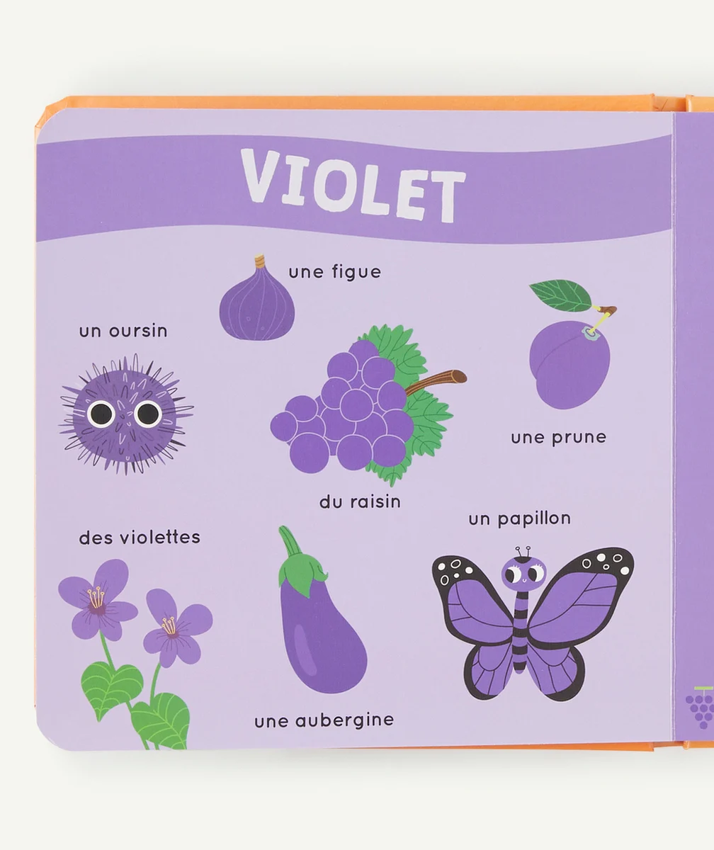 AUZOUMON LIVRE DES ODEURS ET DES COULEURS - LE MONDE
