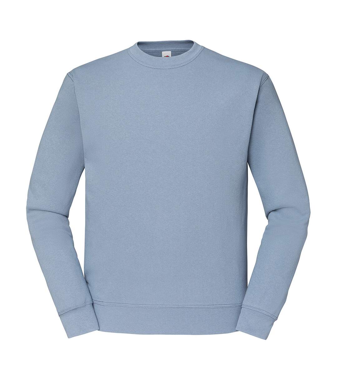 Fruit Of The Loom - Sweat - Homme (Bleu pâle) - UTPC3669
