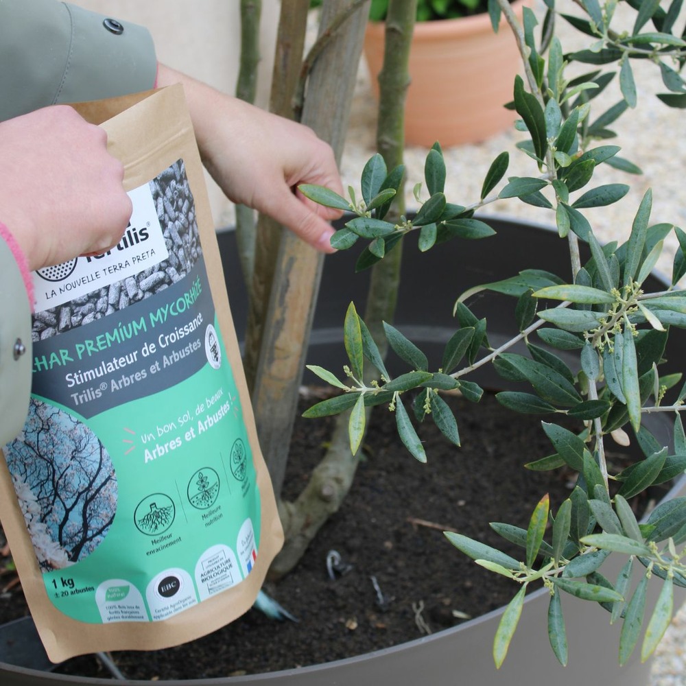 Fertilisant arbres et arbustes à base de mycorhizes - 1 kg