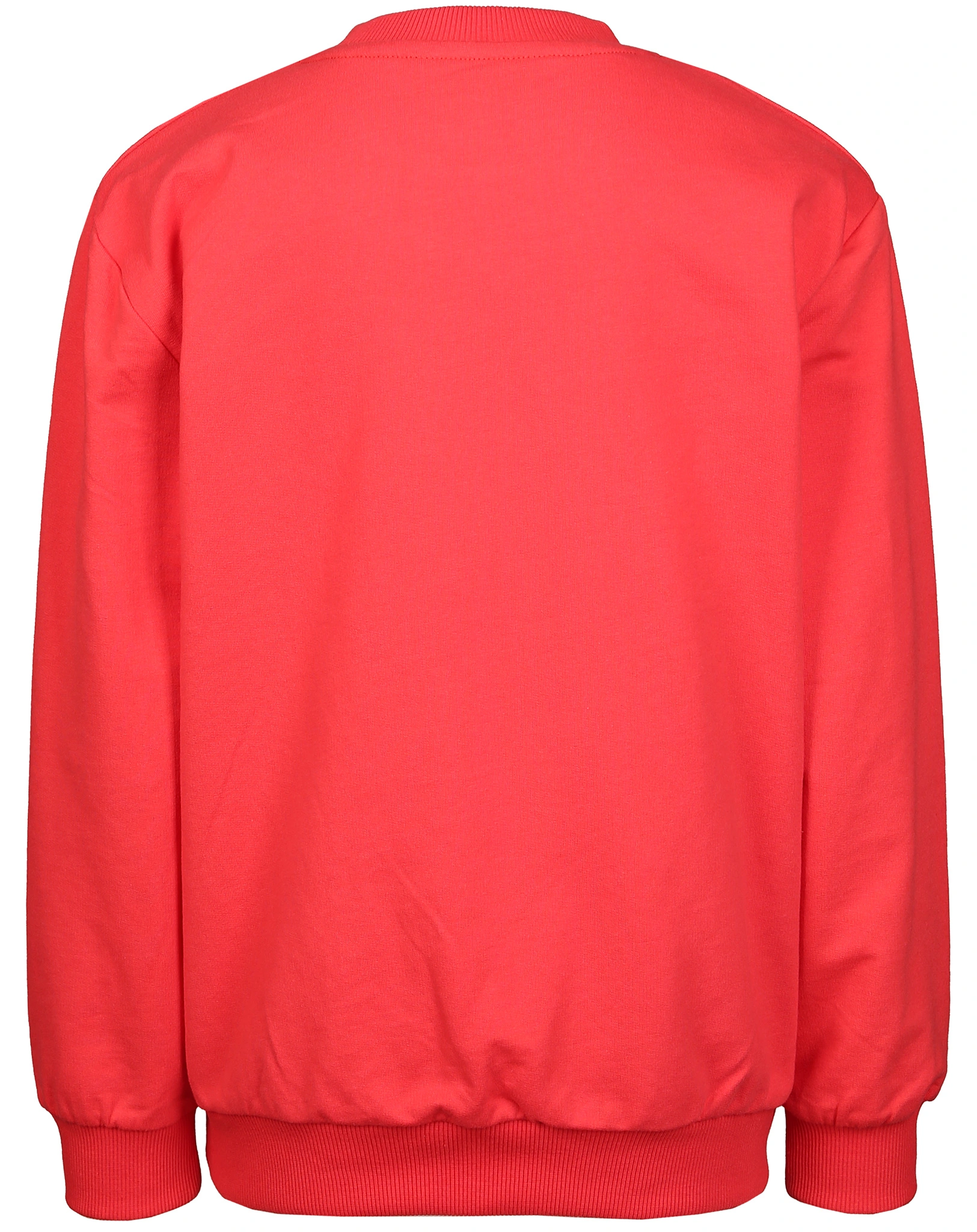 Pullover UNEXPECTED ROUTES in wassermelone