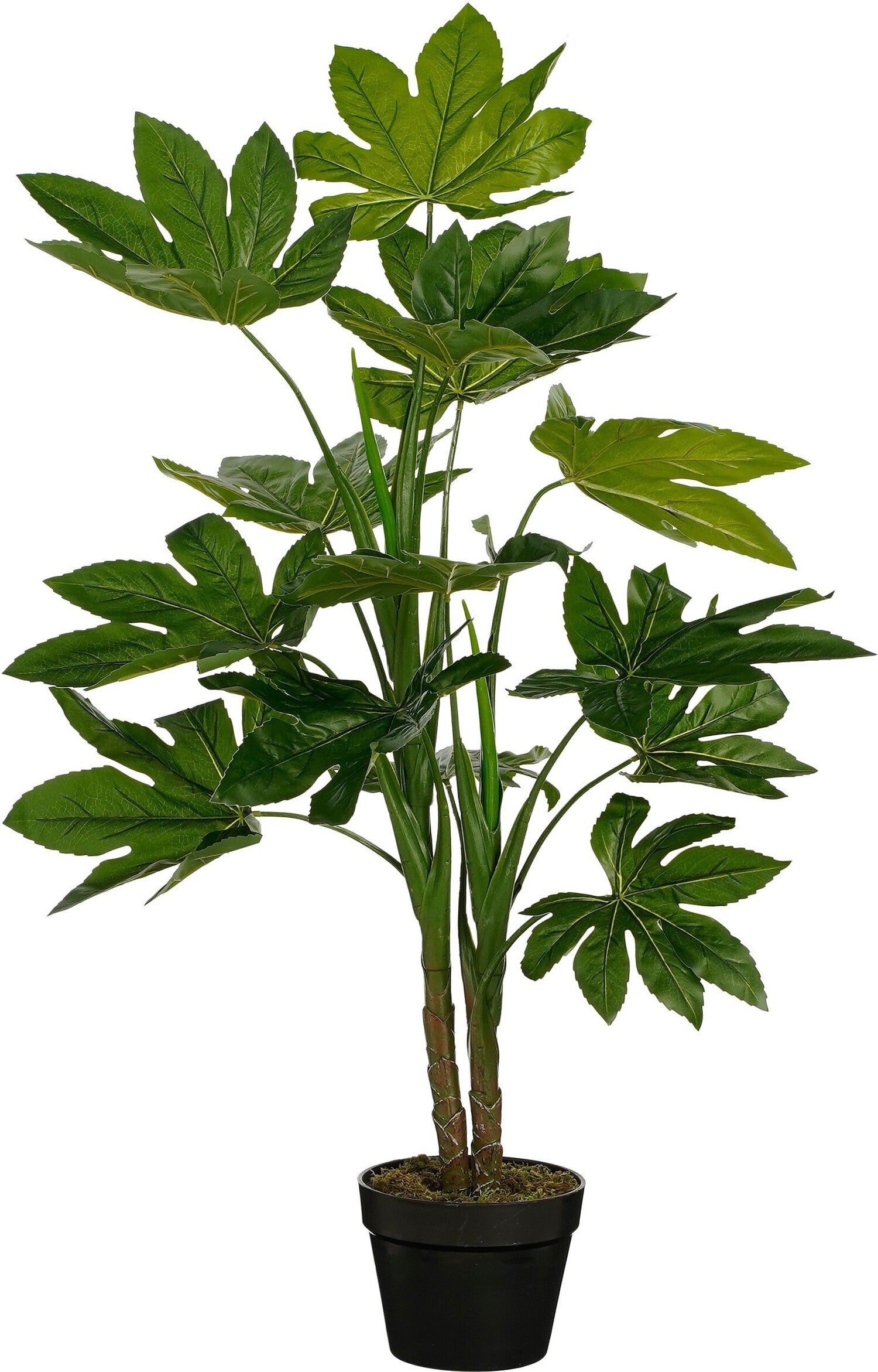 Mica Decorations kunstplant Fatsia groen H 100 D 70 cm