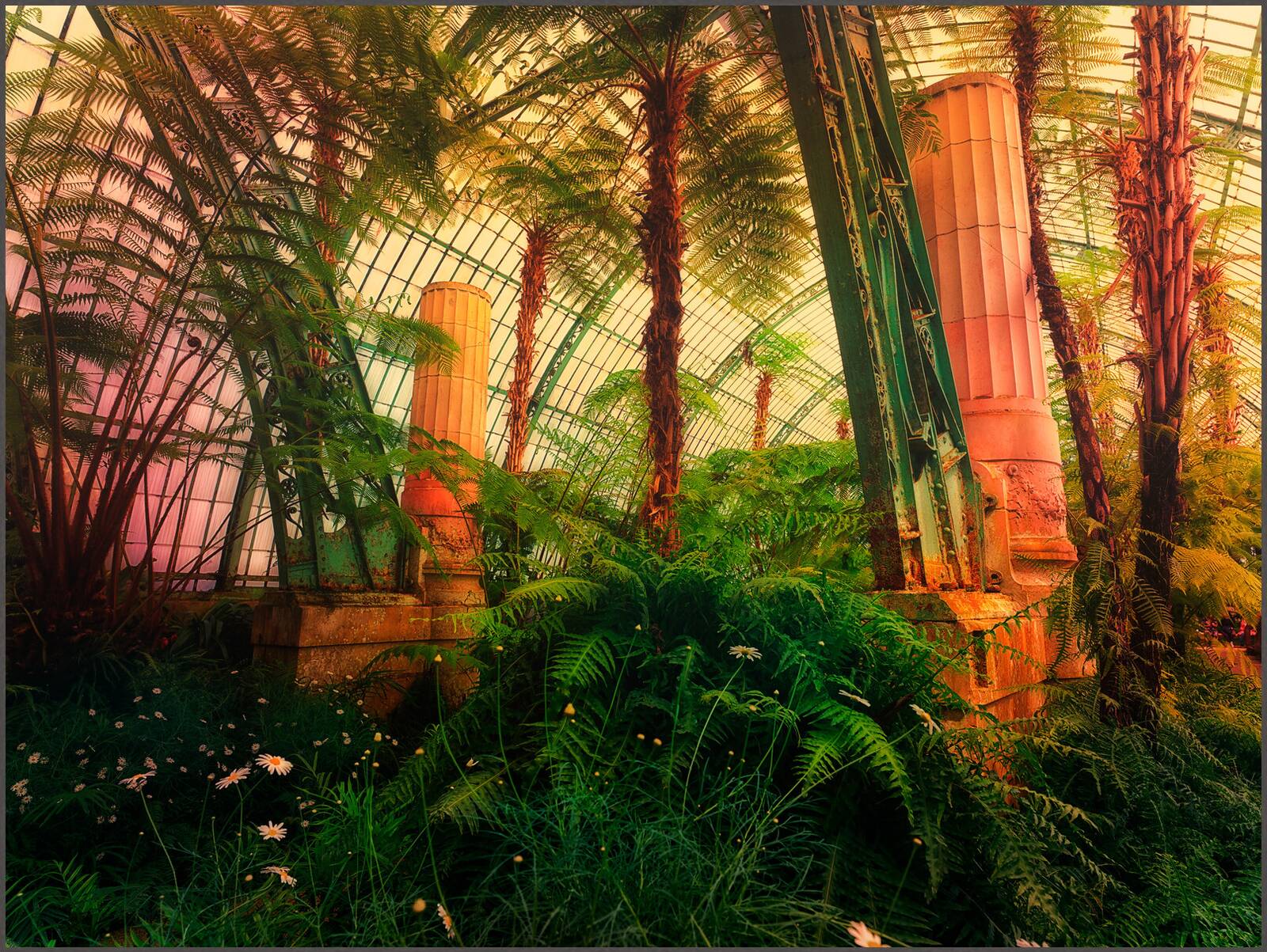Royal Garden, Brussels V by Werner Pawlok - Limited Edition. Edition of: 150. Signed.