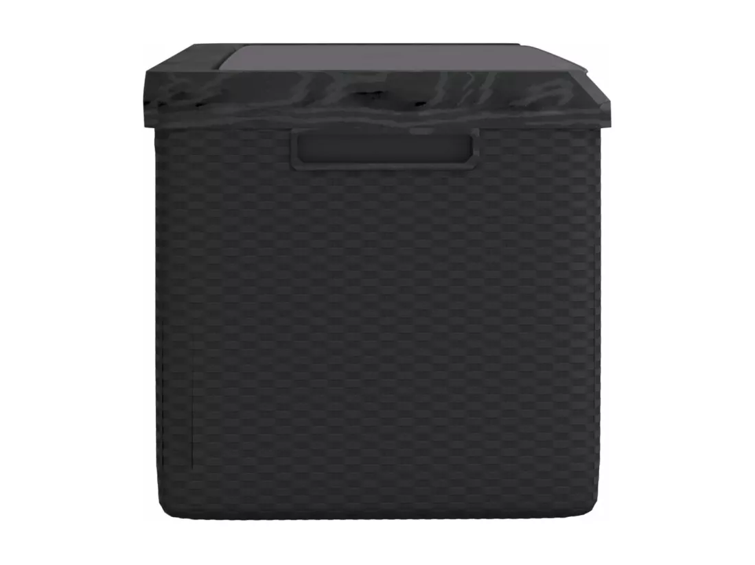 Prolenta Premium - Boîte de rangement jardin coussin de siège anthracite 350 L PP