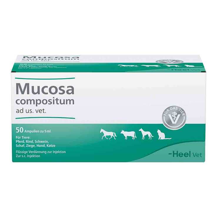 Mucosa Compositum Ampullen vet. (für Tiere), 50X5 ml