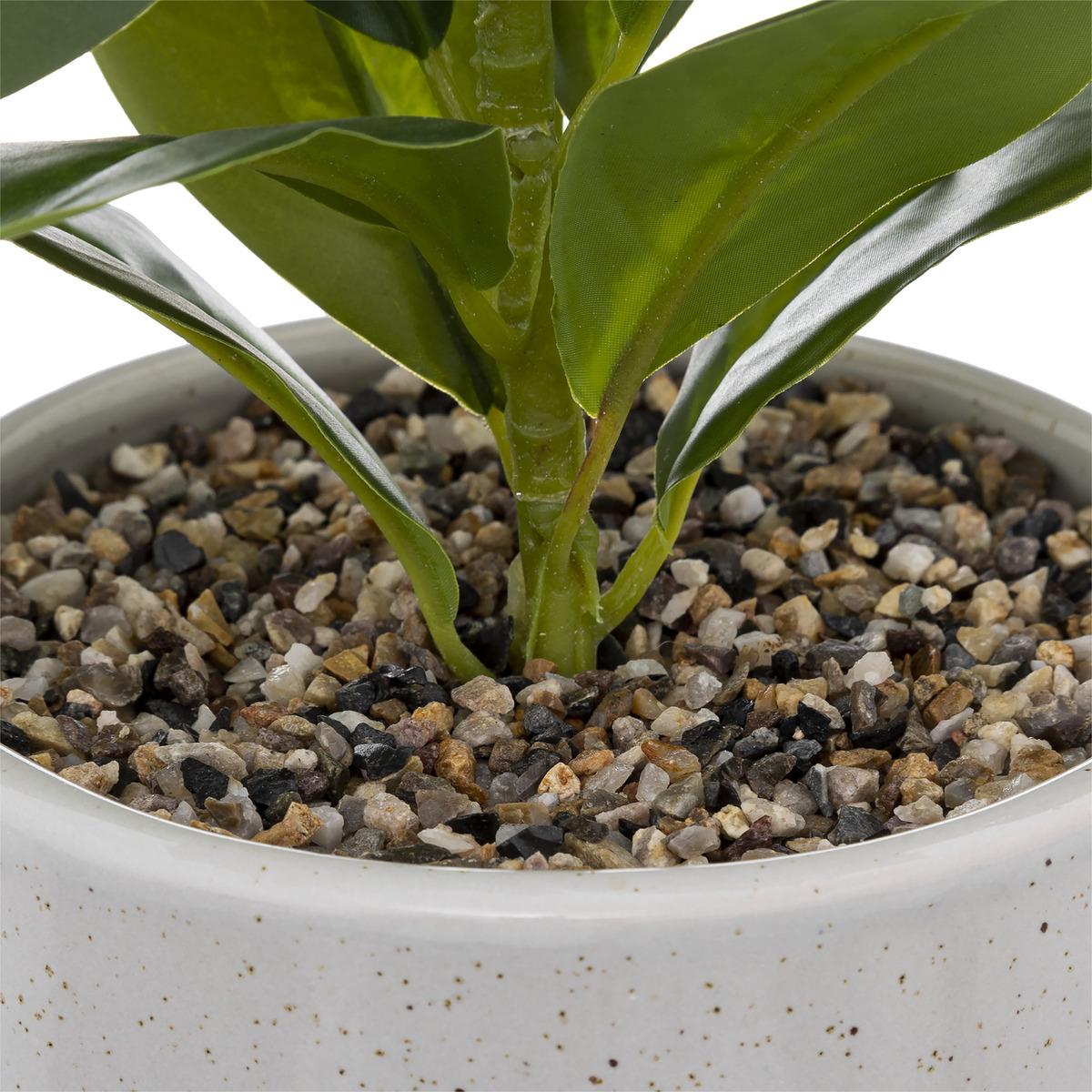 PLANTE POT CERAMIQUE REACTIVE H.30CM