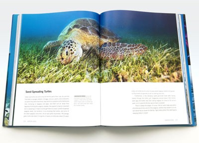 Blue Planet II (Hardback)