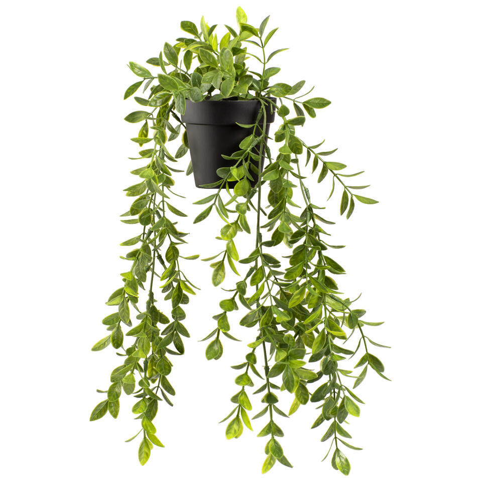 Kunst hangplant Ficus Pumila - groen - 30 cm