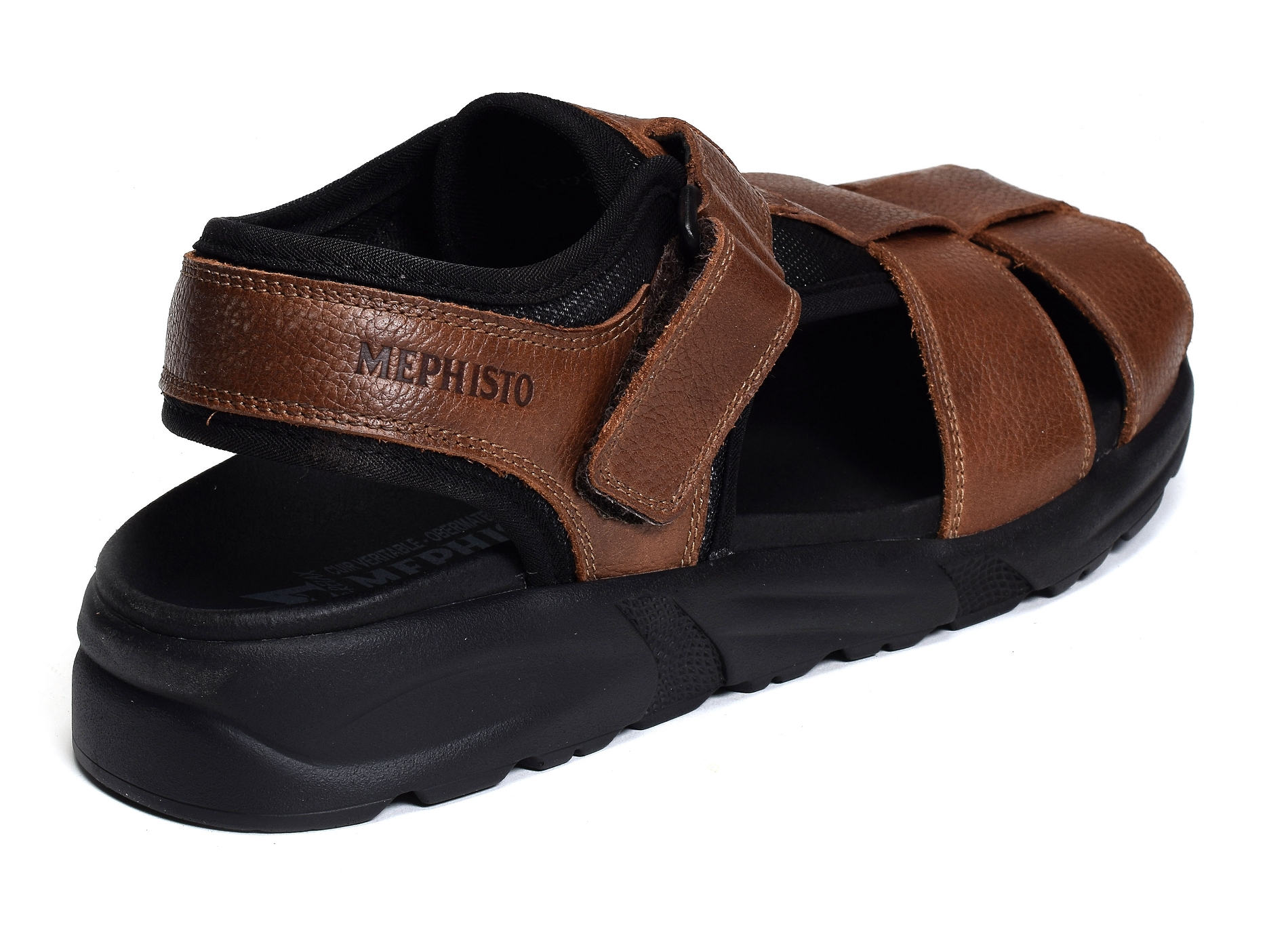 Toren camel
