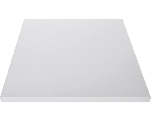 Acrylglas vulling voor Pertura leuningsysteem, kristalhelder, 1500x673x8 mm (68)