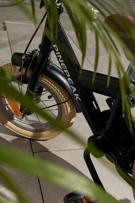 Pinepeak Downtown Barnesykkel 12 Tommer