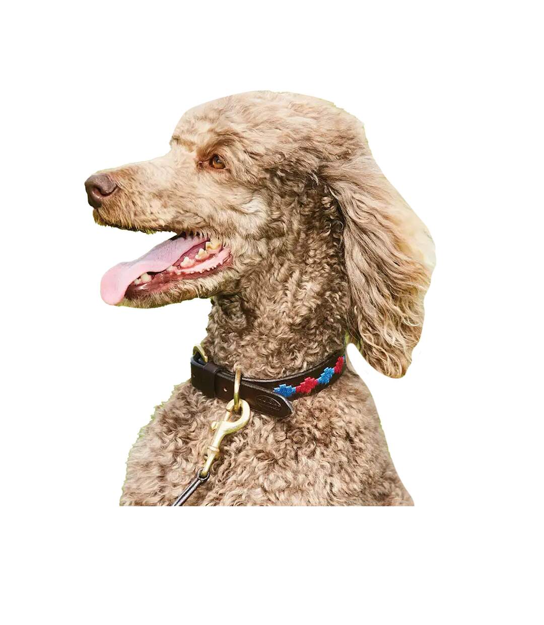 Weatherbeeta - Collier pour chiens (Marron foncé / Rouge / Orange / Bleu) (2XL) - UTWB1575